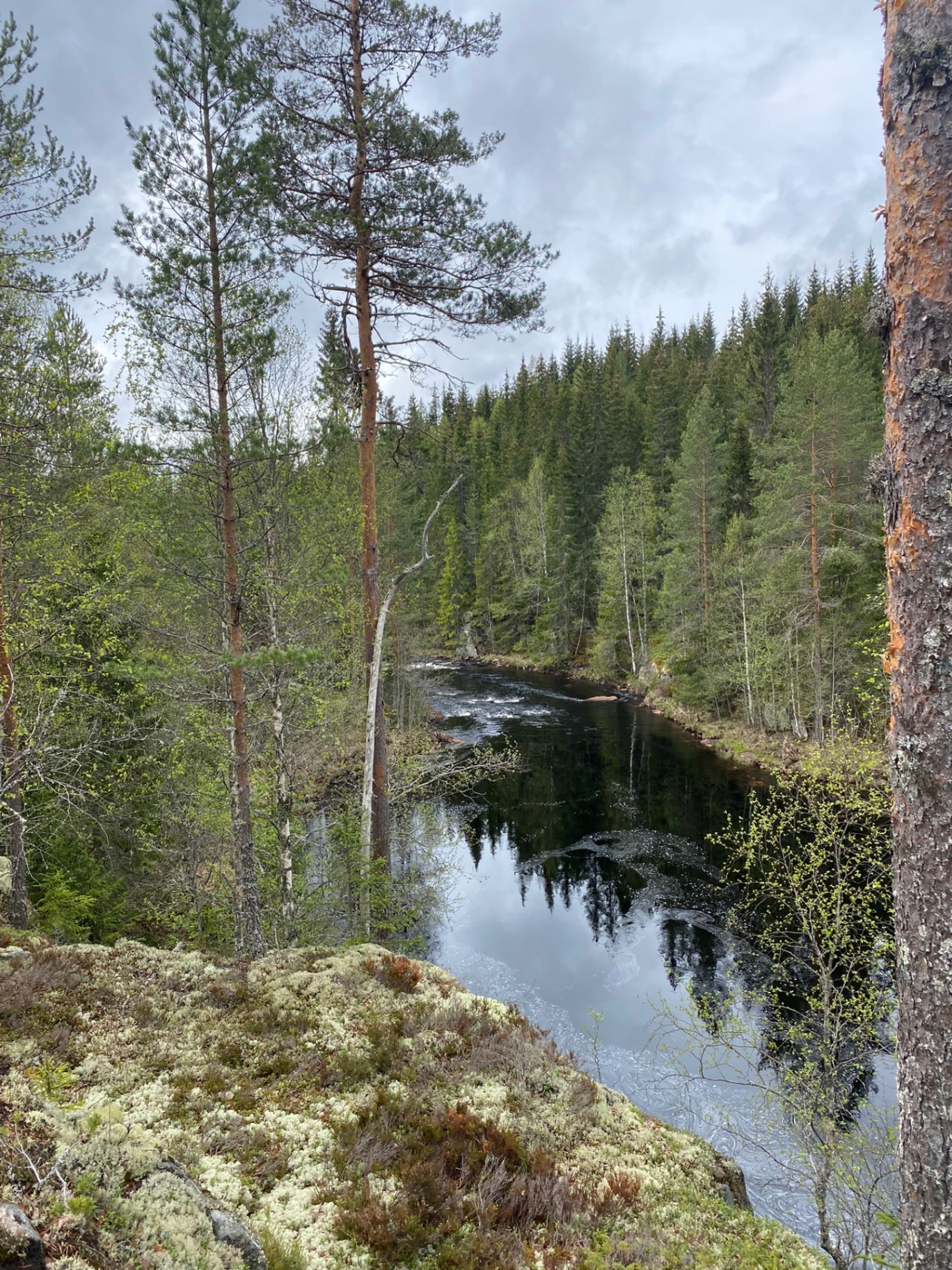 Utsikt över Klarälvdalen